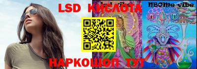 спиды Сланцы