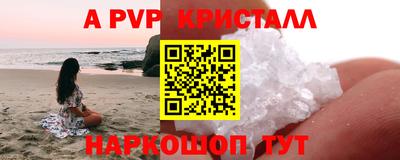 спиды Сланцы