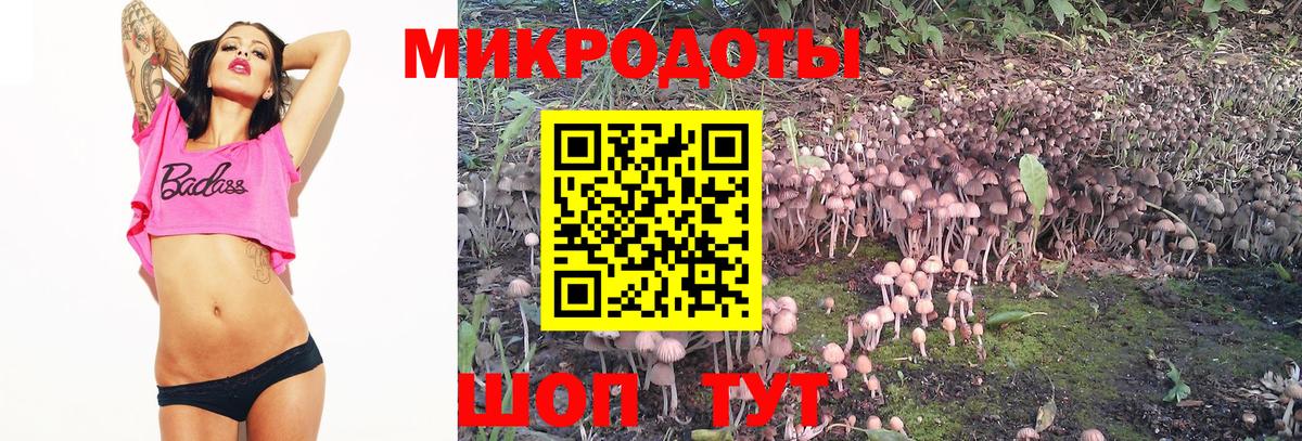 Псилоцибиновые грибы ЛСД  Псилоцибиновые грибы мицелий  Родники  Вход с VPN 
